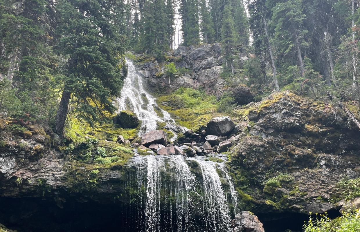 Fibromyalgia/Chronic Fatigue